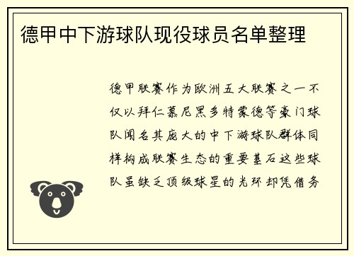 德甲中下游球队现役球员名单整理