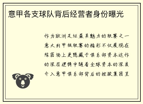 意甲各支球队背后经营者身份曝光